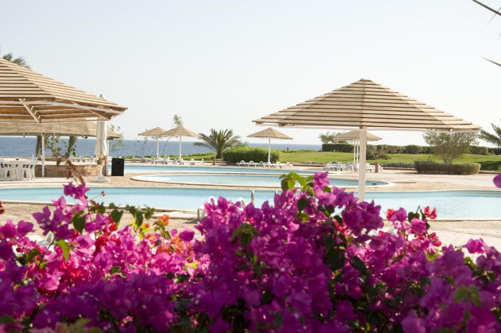 The Three Corners Equinox Beach Resort -marsa alam