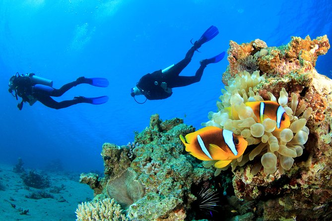 Hurghada (Diving)