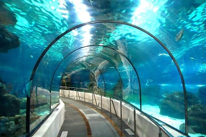 Hurghada (Grand Aquarium Trip)