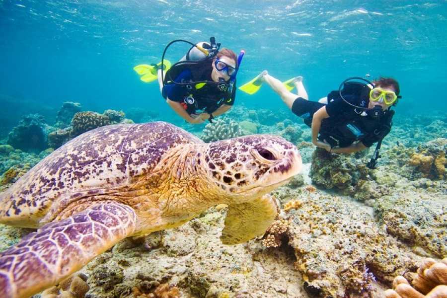 Hurghada (Diving)