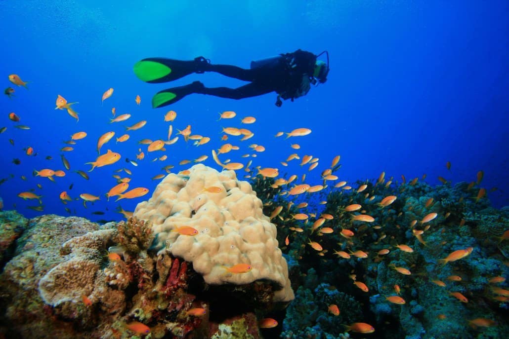 Hurghada (Diving)