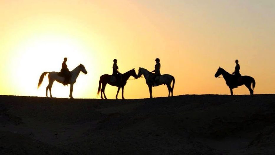 Hurghada (Horse Riding)