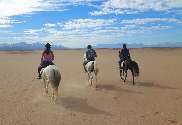 Hurghada (Horse Riding)