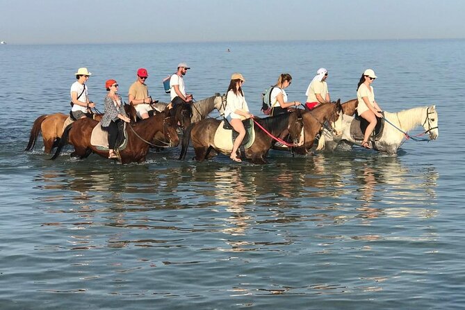 Hurghada (Horse Riding)