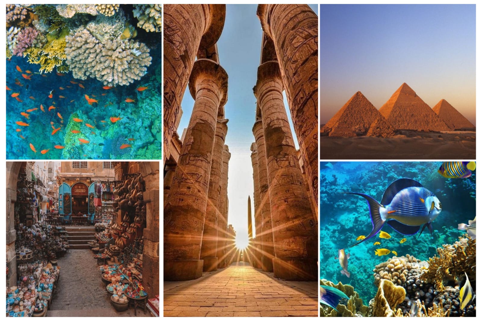 Cairo, Hurghada & Luxor for 7 Days(EG17)